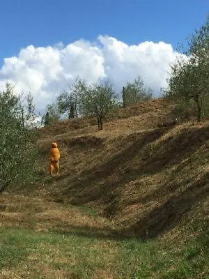 Il Casale Di Lavinia 4* Fabro
