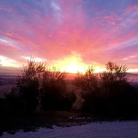 Il Casale Di Lavinia Bed and Breakfast 4*