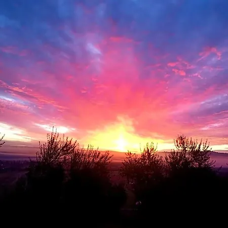 Bed and Breakfast Il Casale Di Lavinia