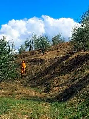 Il Casale Di Lavinia 4*