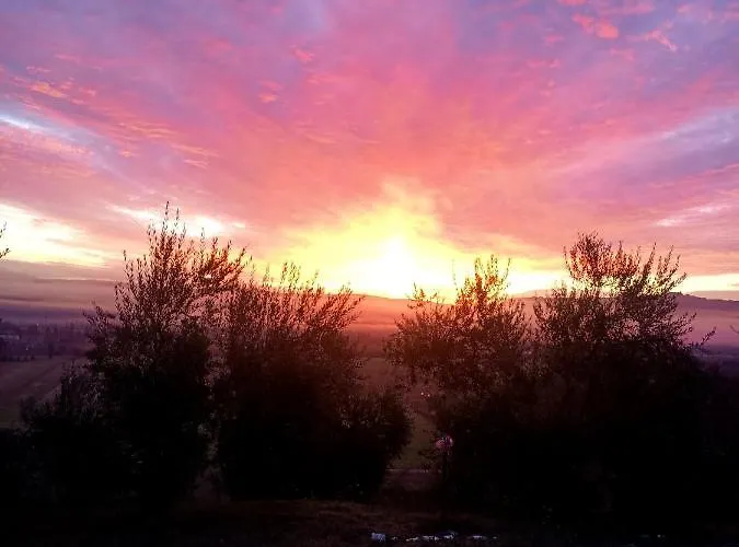 Il Casale Di Lavinia Alojamento de Acomodação e Pequeno-almoço 3*